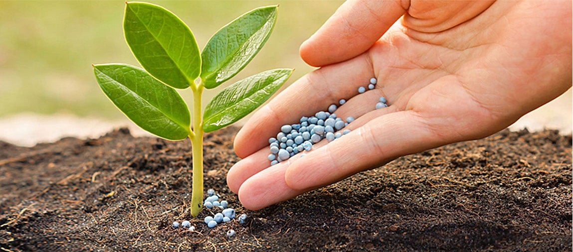 Nghị định số 108/2017/NĐ-CP