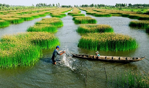 TCVN 11041-8:2018 Nông nghiệp hữu cơ - Phần 8: Tôm hữu cơ